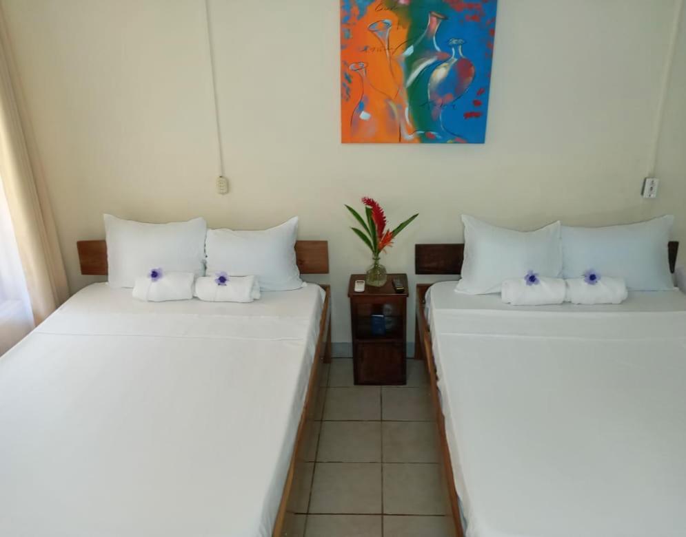 Cabinas Coco Alegre エクステリア 写真