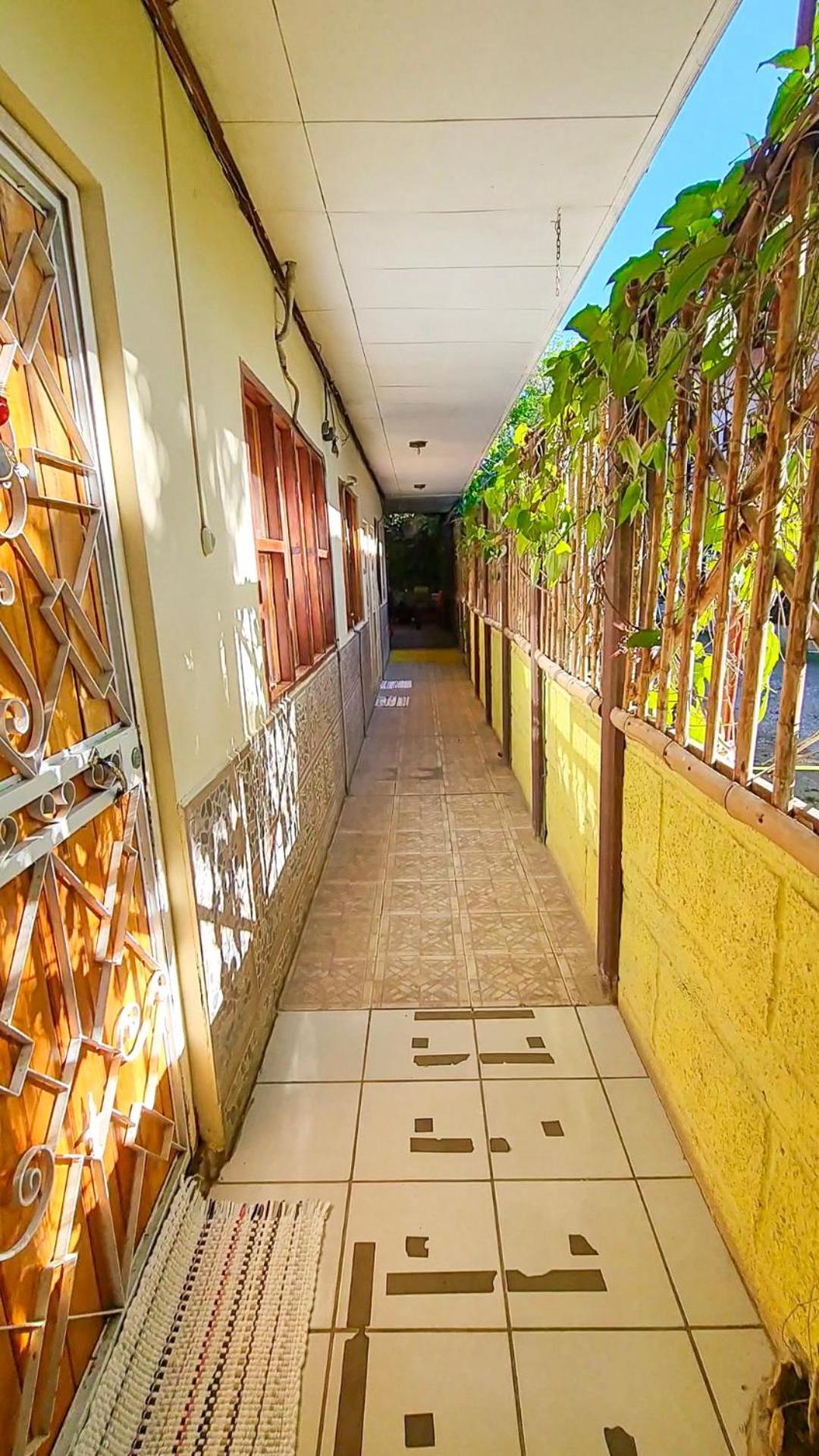 Cabinas Coco Alegre エクステリア 写真