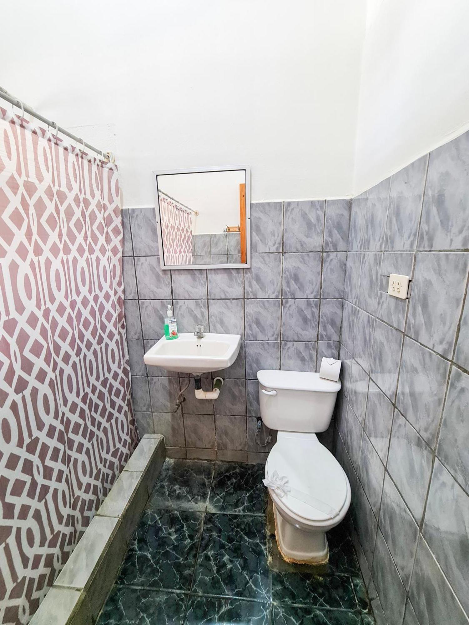 Cabinas Coco Alegre エクステリア 写真