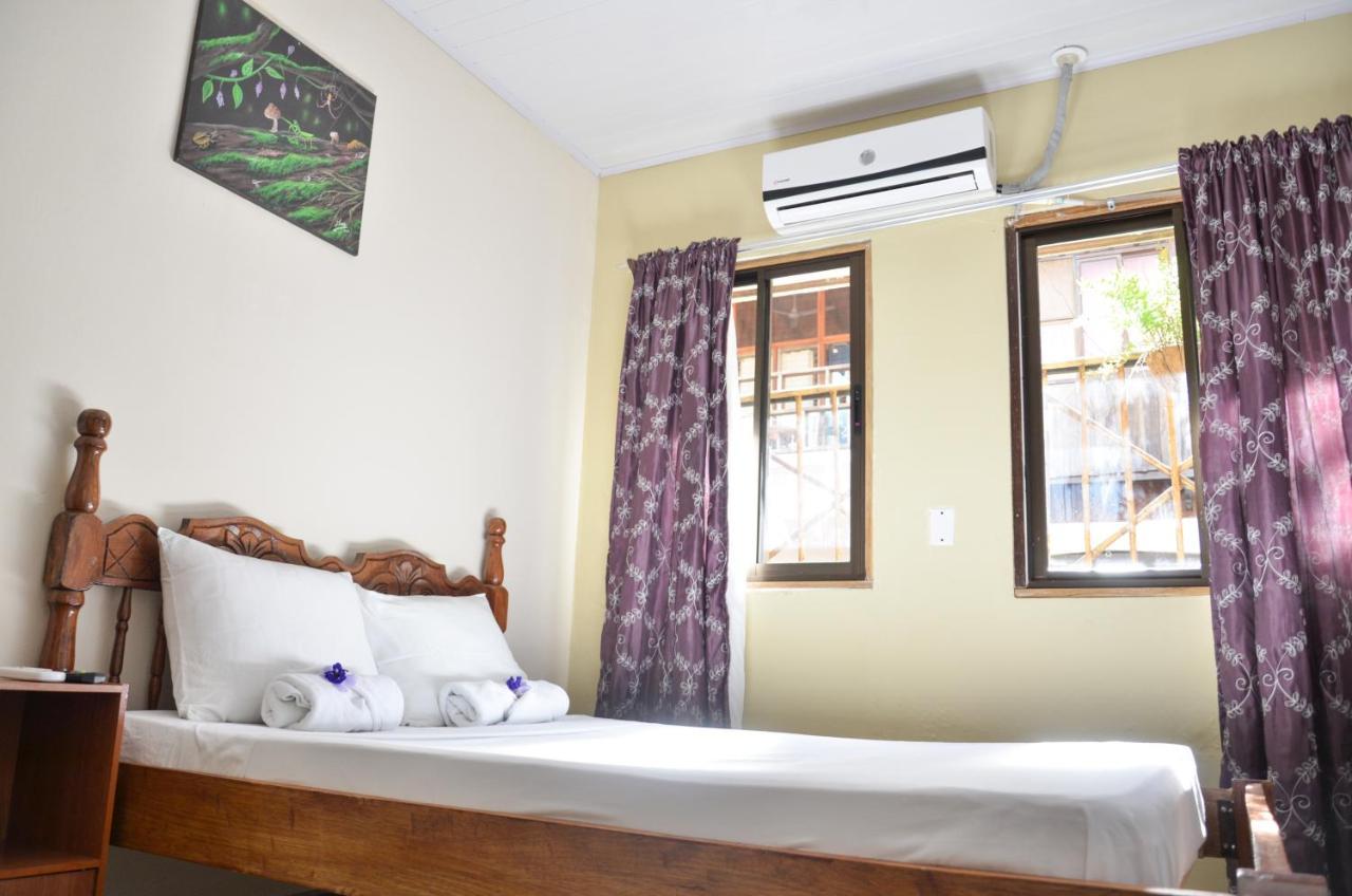 Cabinas Coco Alegre エクステリア 写真