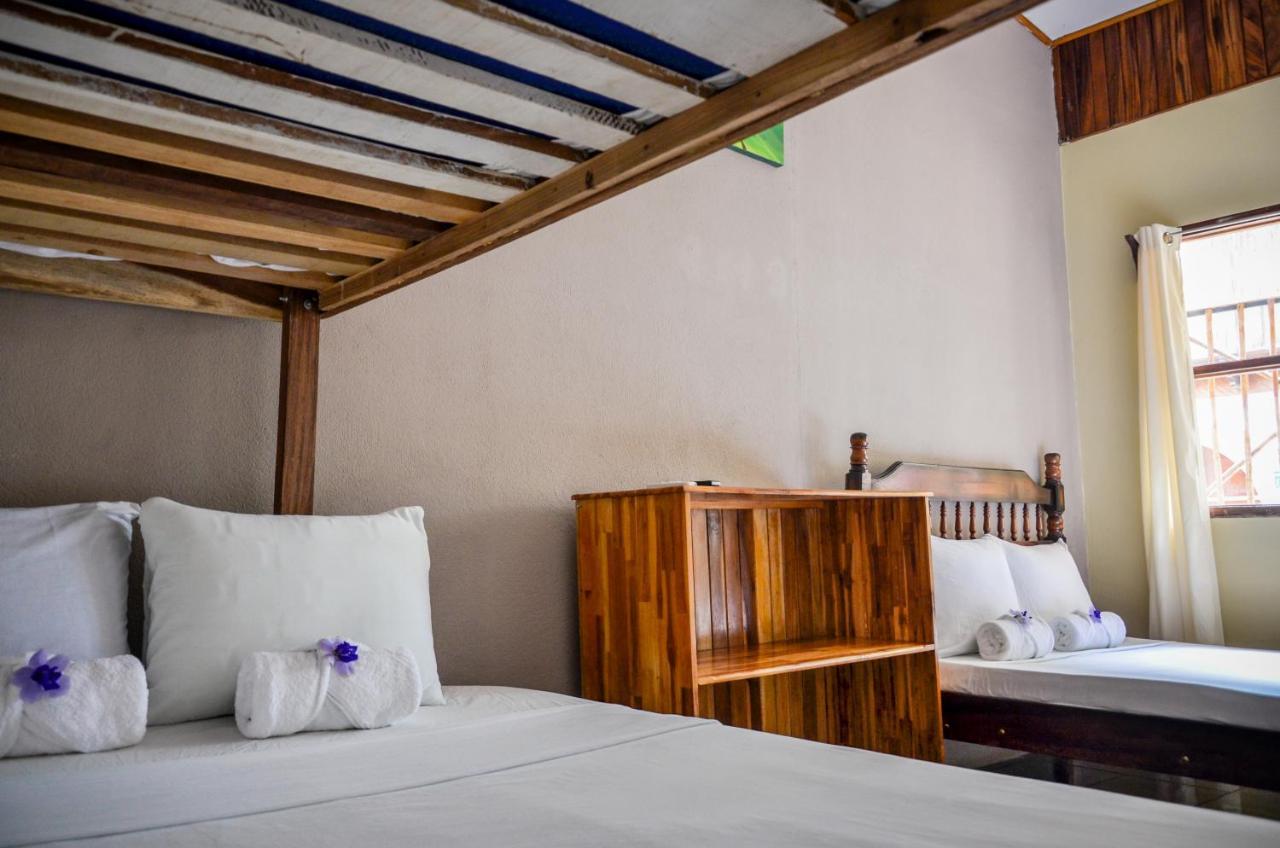 Cabinas Coco Alegre エクステリア 写真